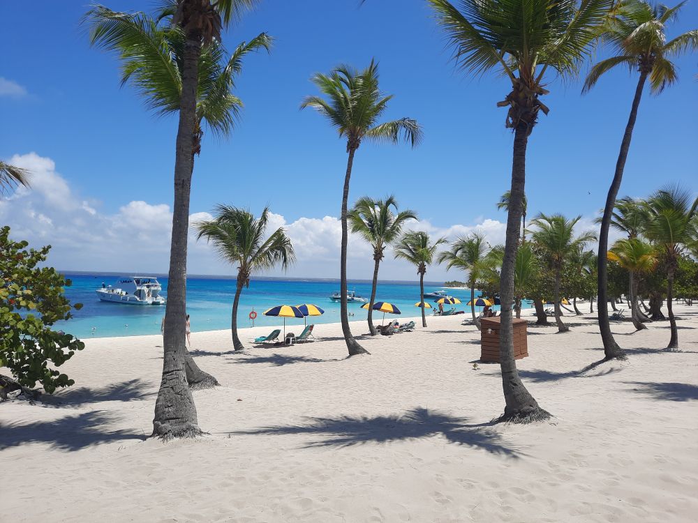 caribbeanguapo OnlyFans profile picture