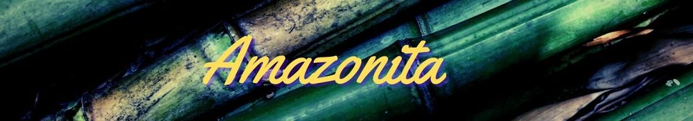 the-amazonita OnlyFans profile picture