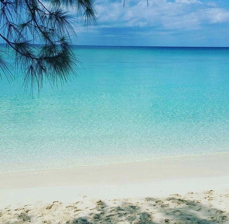 islandcat OnlyFans profile picture