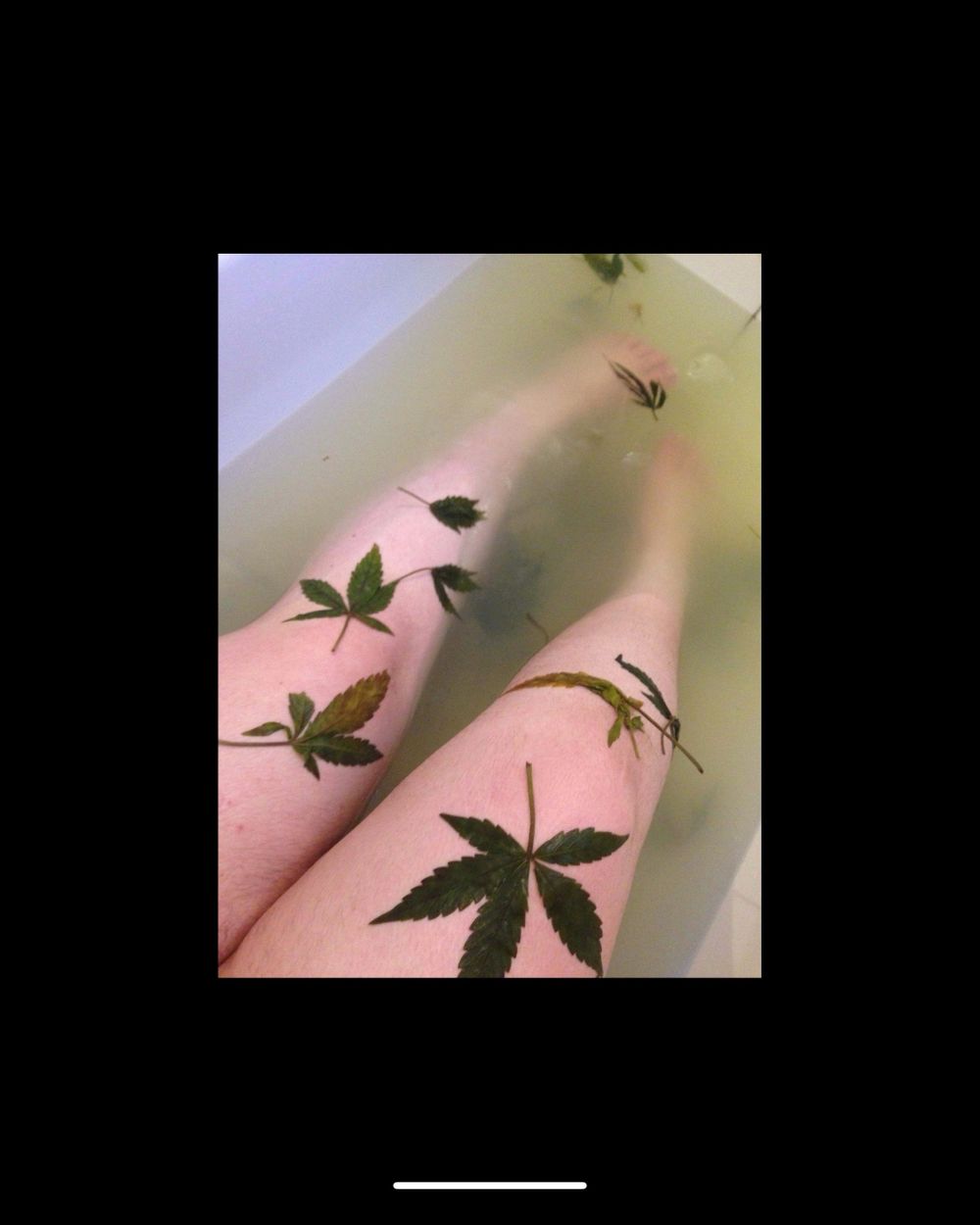 shaymary23 OnlyFans profile picture