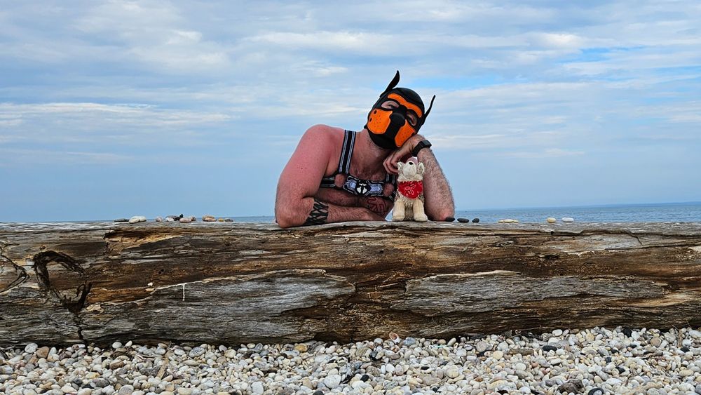 czar_puppy OnlyFans profile picture