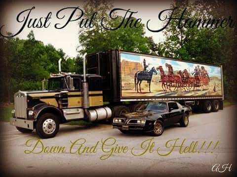juniorthetrucker OnlyFans profile picture