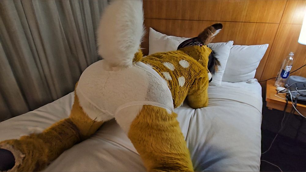 lotuslafawn OnlyFans profile picture