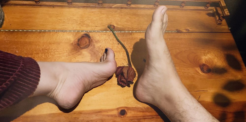 meetthefeet_ OnlyFans profile picture