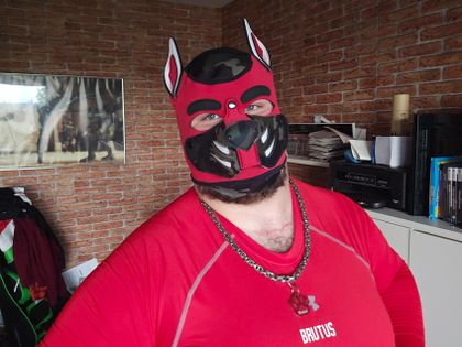 dogbrutusastanidum OnlyFans picture
