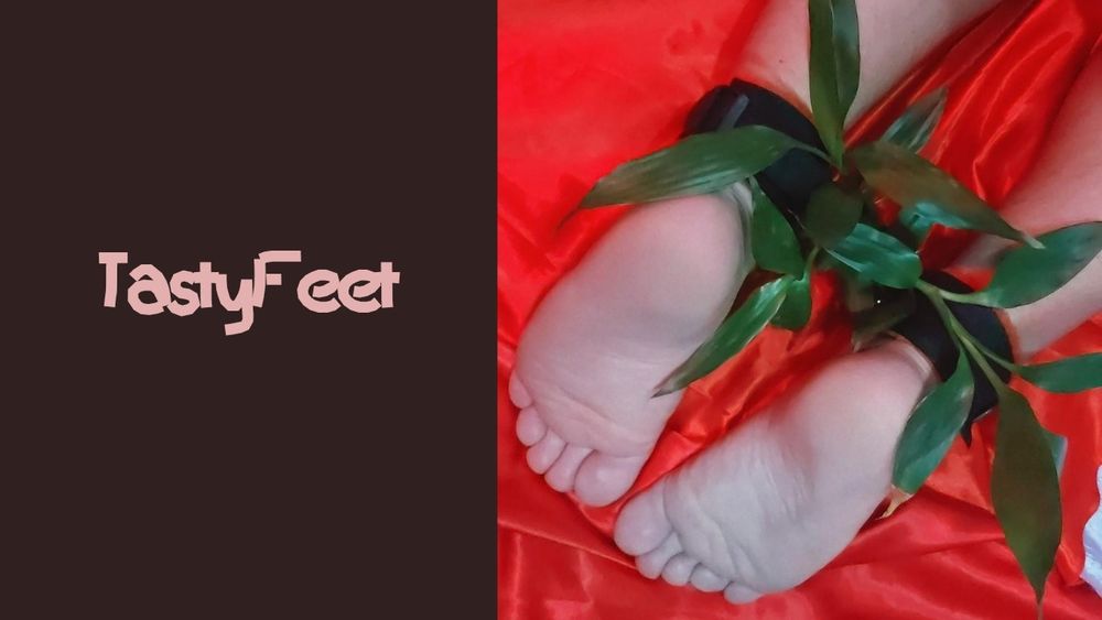 tastyfeetpic OnlyFans profile picture