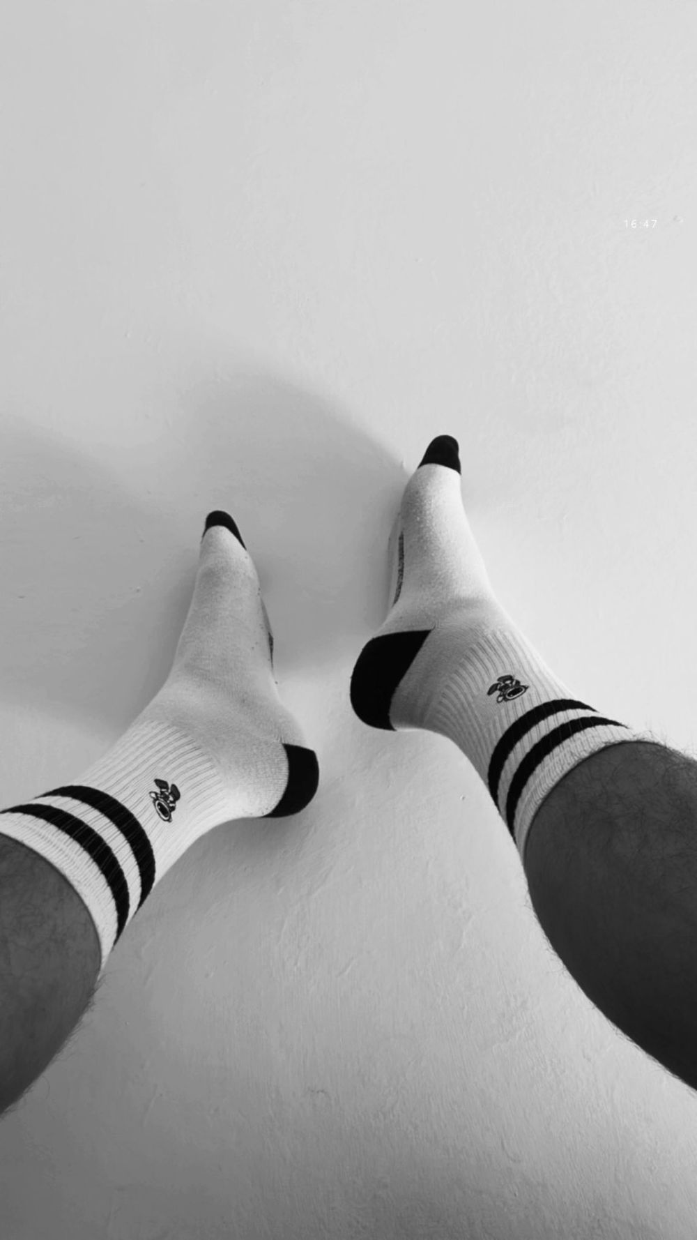 xxnotalex OnlyFans profile picture