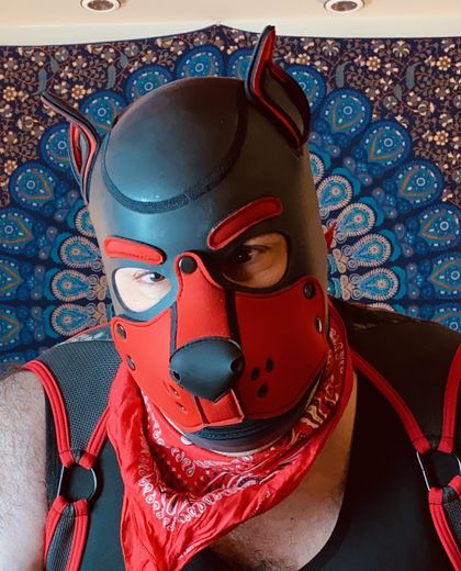 bearpupgaymer OnlyFans picture