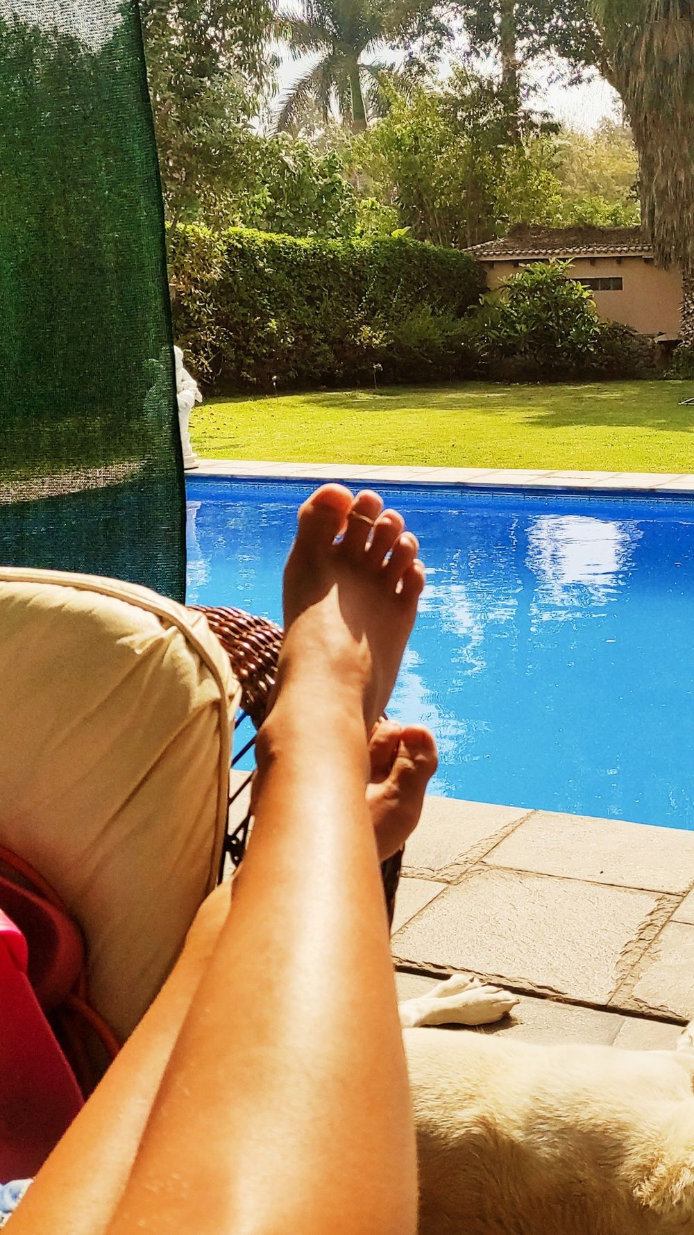 premiumfeet.bykimmy OnlyFans profile picture
