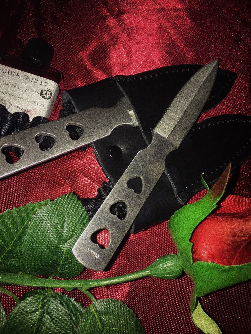 angel.baby.xoxo OnlyFans - Stats, Graphs, Photos & Profile Comparisons FansMetrics