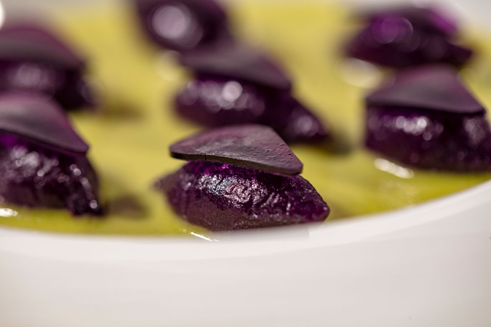 grandmasterchefjojo OnlyFans profile picture