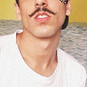 novin