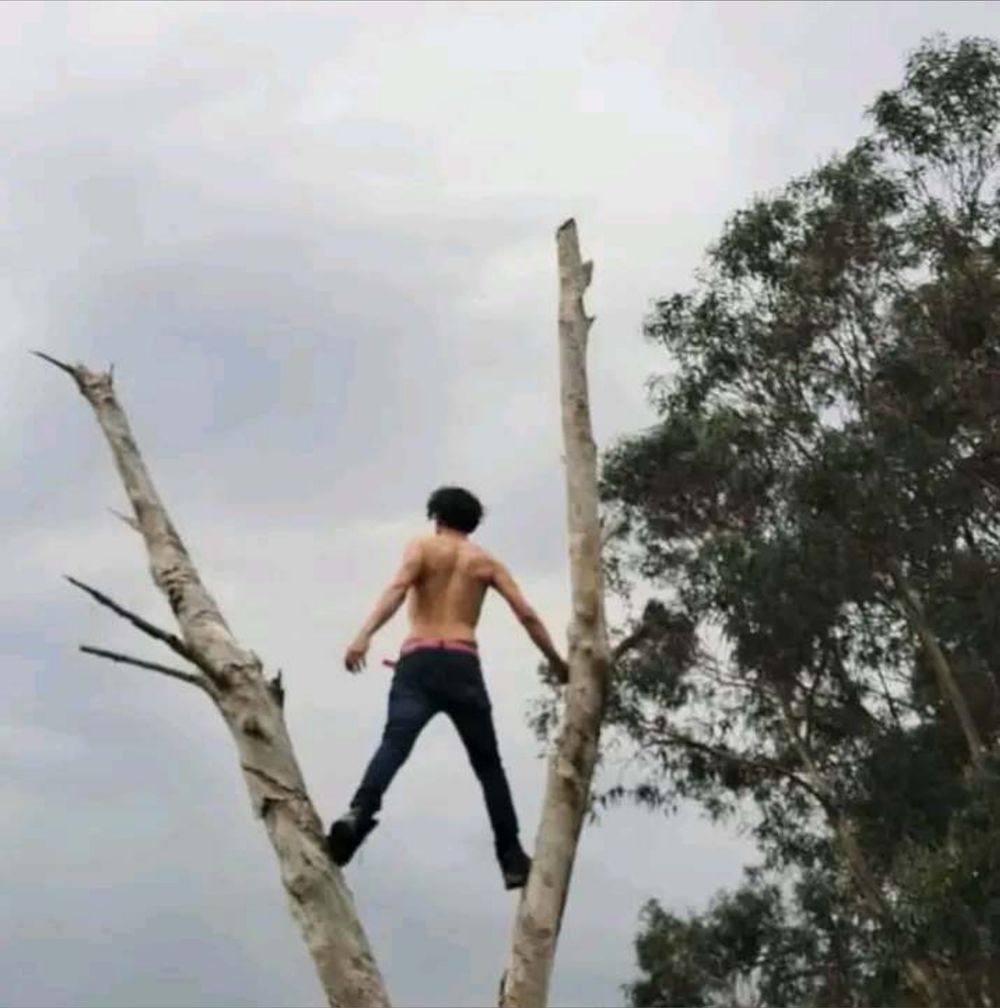 davydwolf69 OnlyFans profile picture