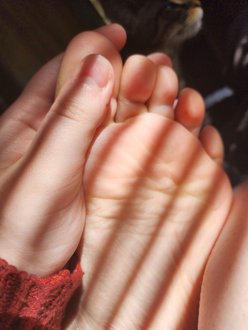 autumndaisy2 OnlyFans profile picture