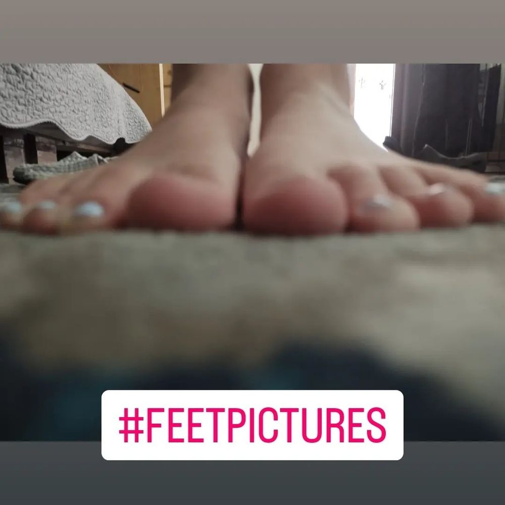l0r3sdream OnlyFans profile picture