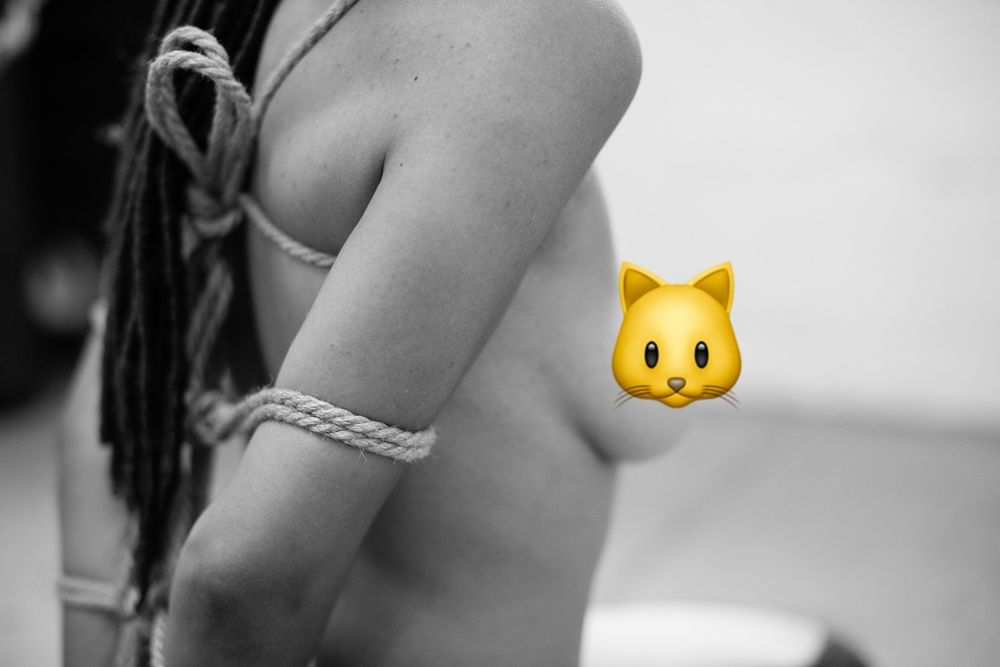 dojakittykitty OnlyFans profile picture
