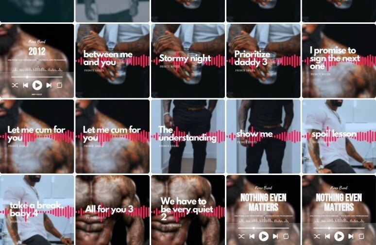 princebreedtv OnlyFans profile picture