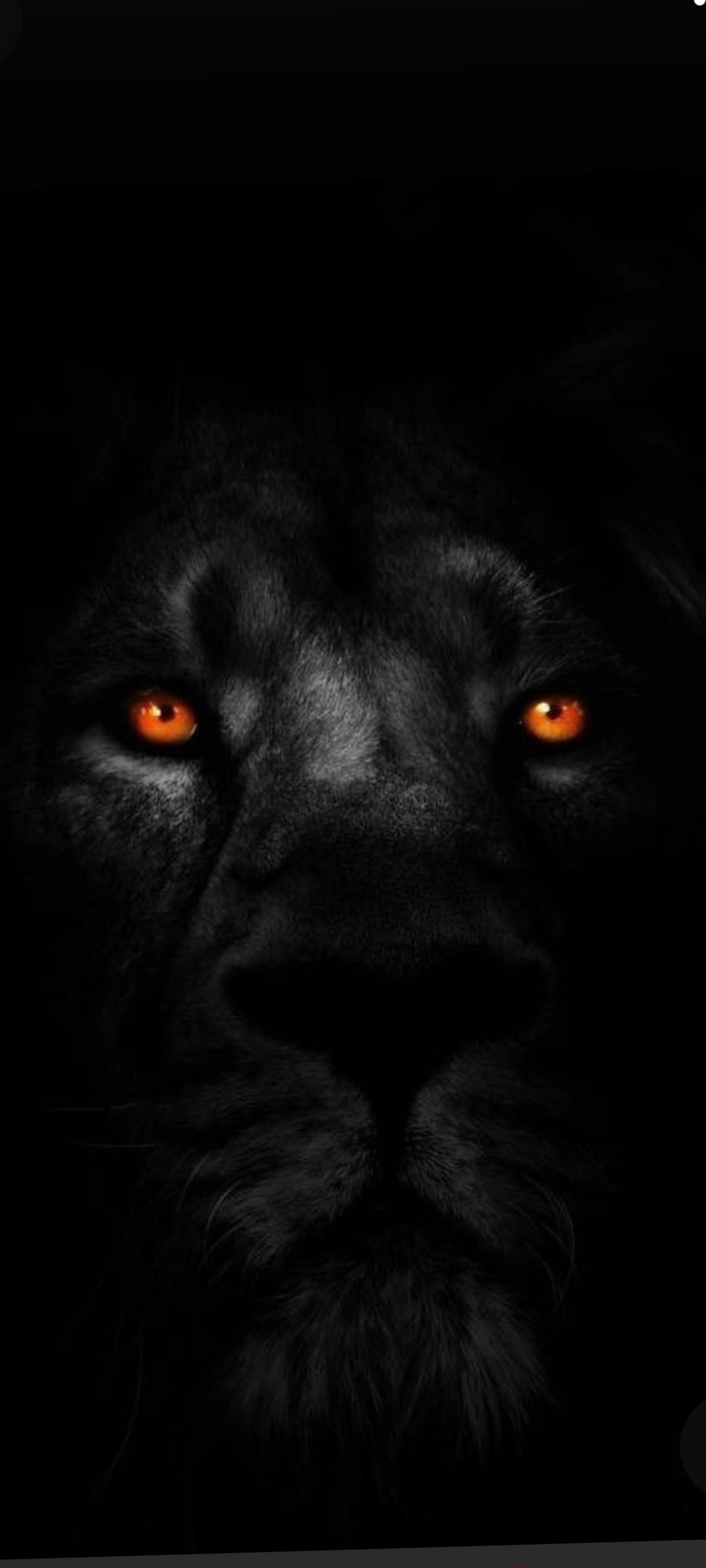 darklion7666 OnlyFans profile picture
