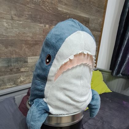 gyulashark OnlyFans picture