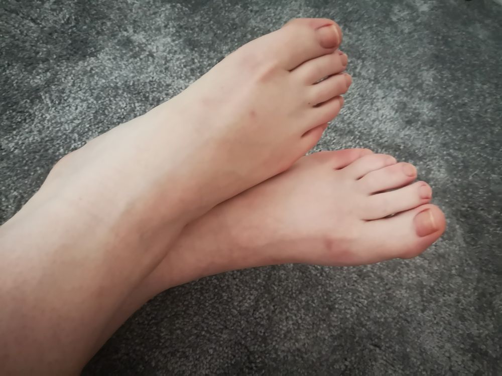 voxyfox OnlyFans profile picture