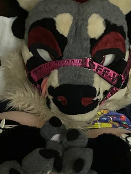 riskyraccoon OnlyFans picture