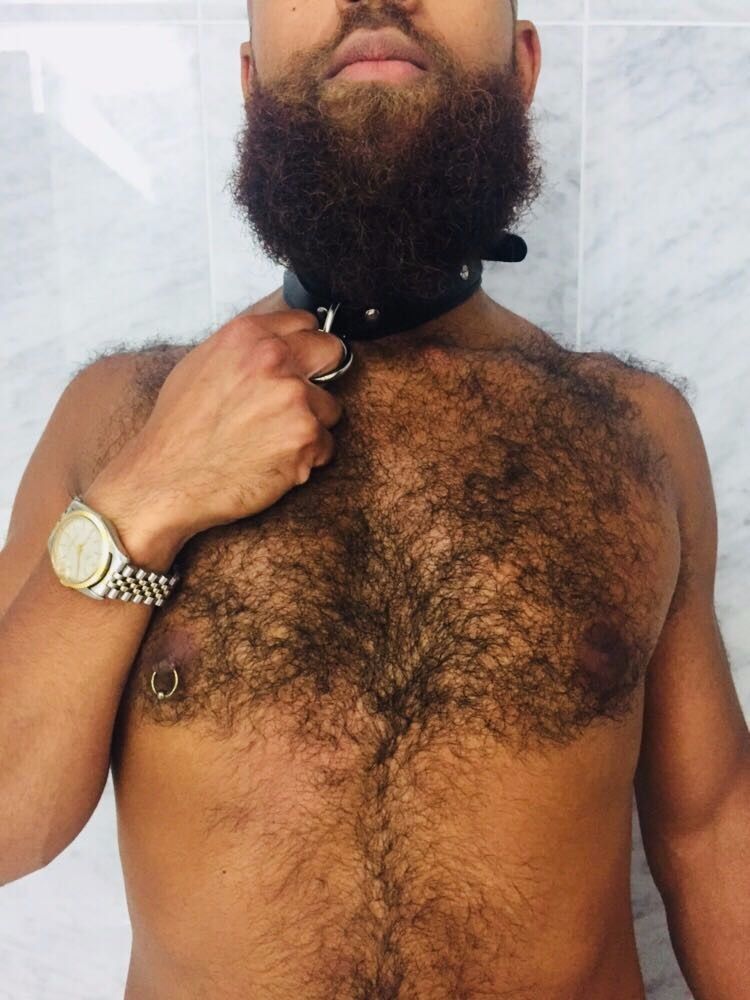 charlesdickems1 OnlyFans profile picture