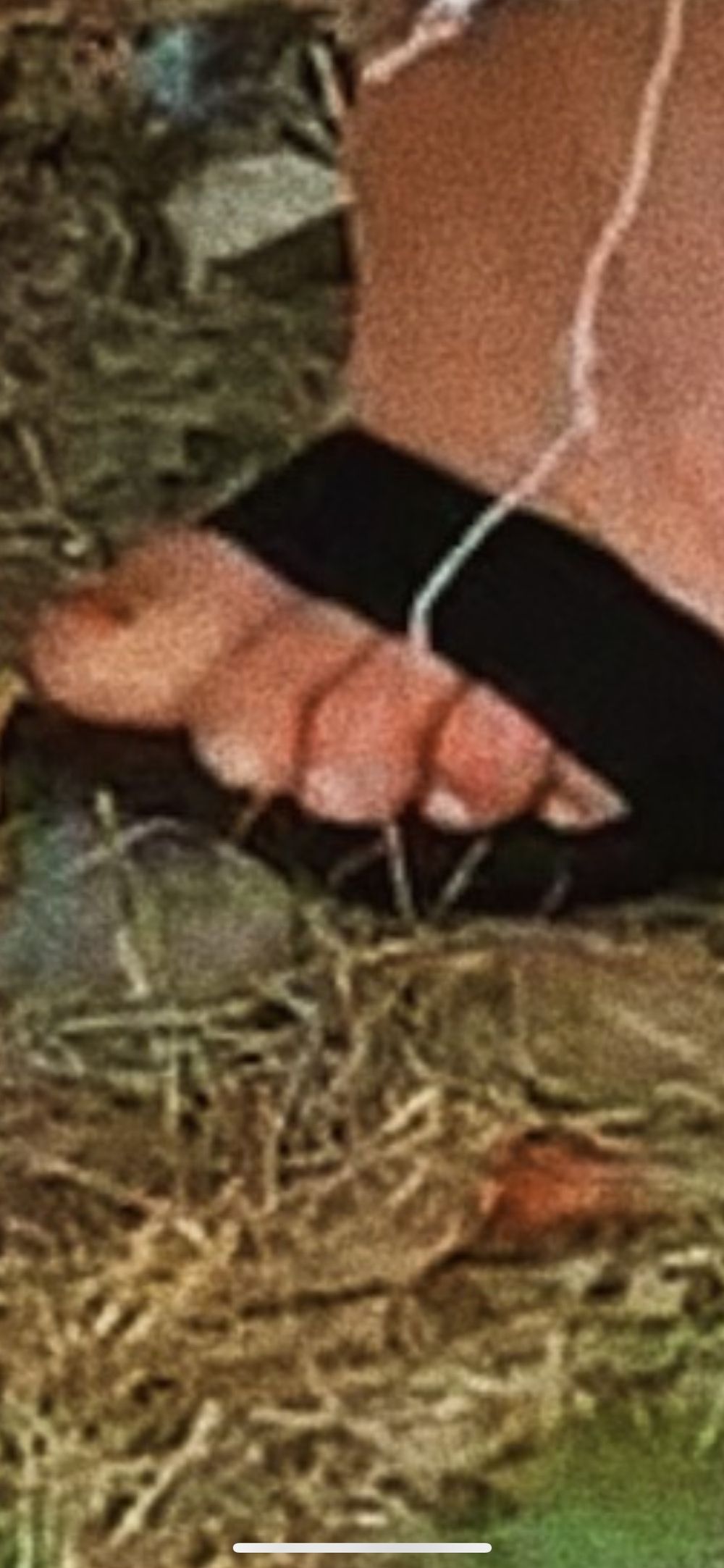 eotfeet21 OnlyFans profile picture