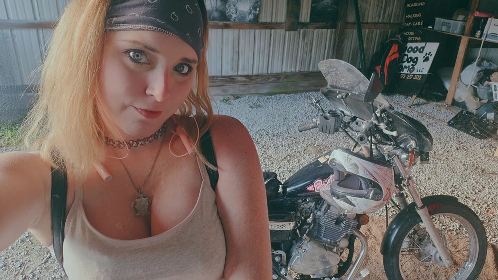 rebelryder OnlyFans profile picture