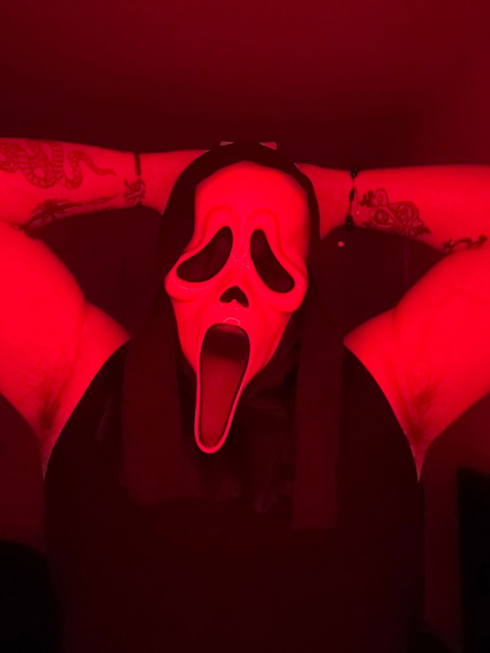 wyldelevi OnlyFans profile picture