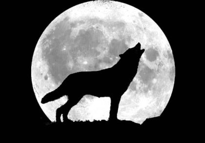 bigbadwolf0 OnlyFans picture