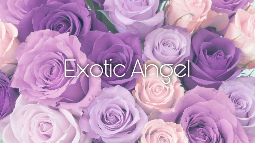 exoticangelx OnlyFans profile picture