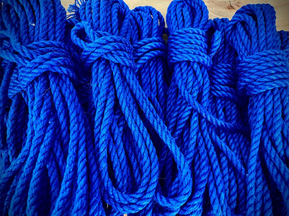 xriptied OnlyFans profile picture