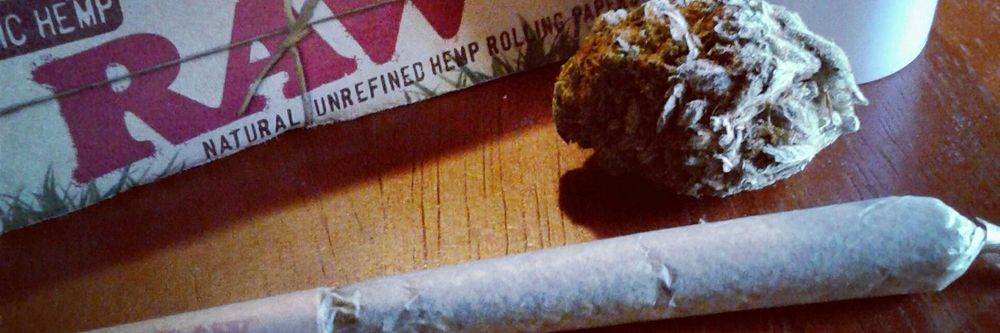 kalidianstoner OnlyFans profile picture