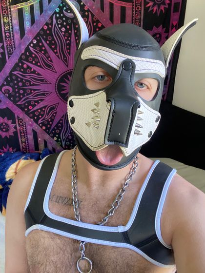 lithepuppy OnlyFans picture