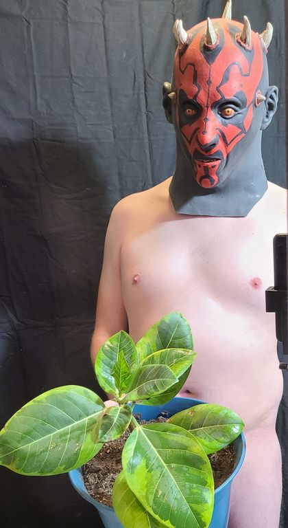 ggdarth OnlyFans picture