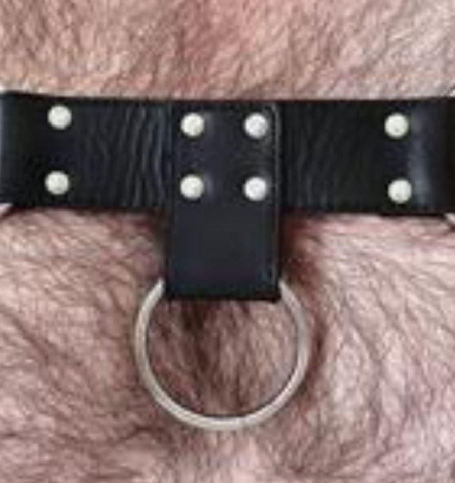 gaykentbear OnlyFans profile picture
