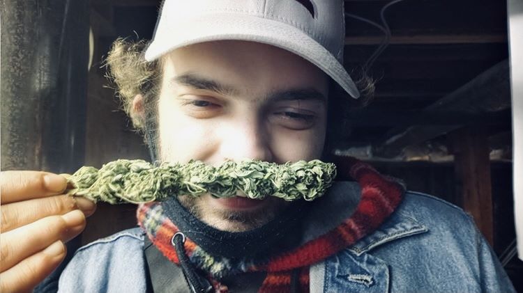 stoner_bearcub1029 OnlyFans profile picture