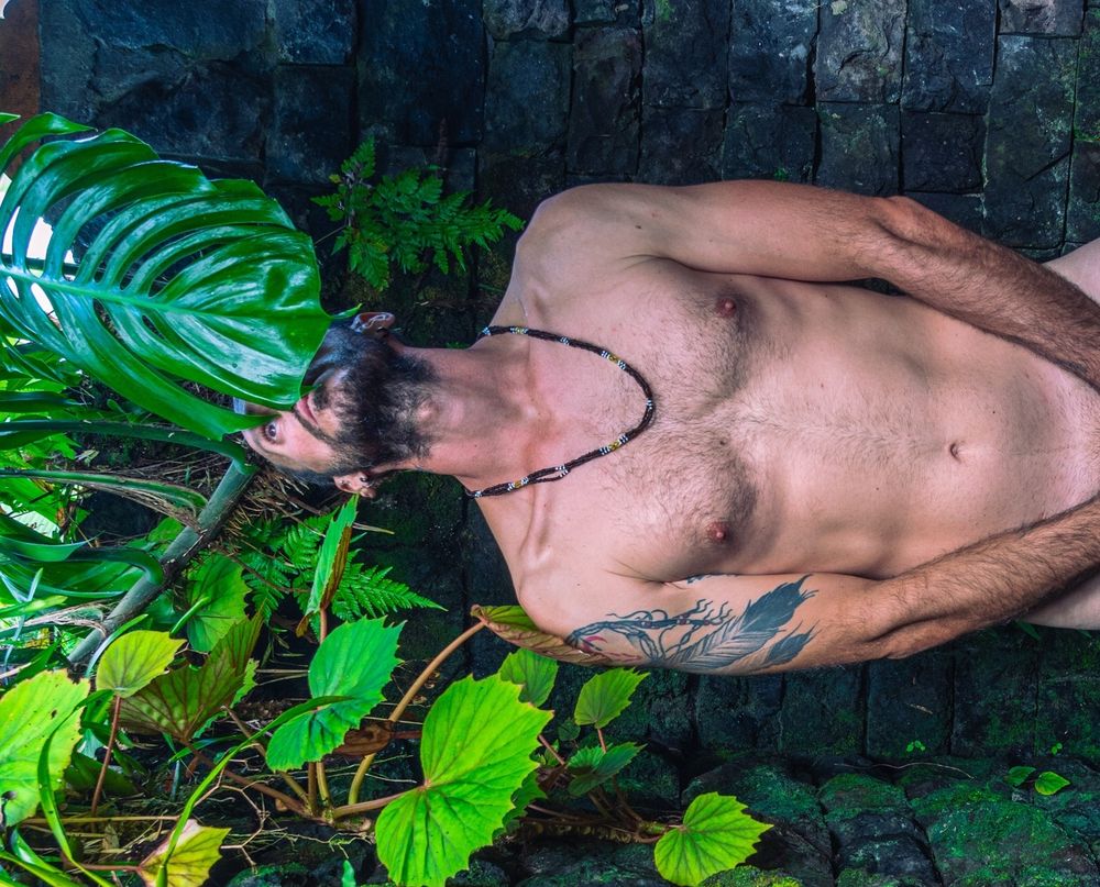 mirkcalisthenic OnlyFans profile picture