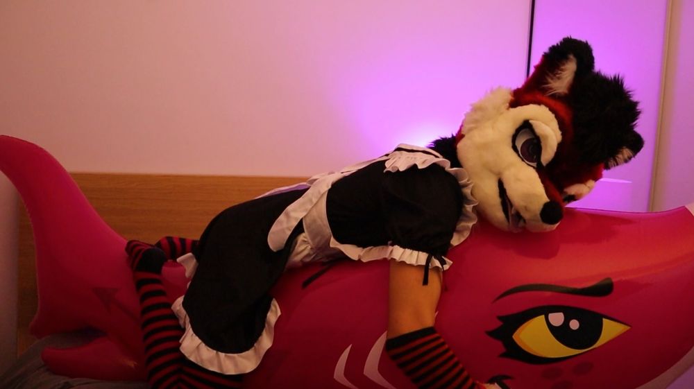 arcohusky OnlyFans profile picture