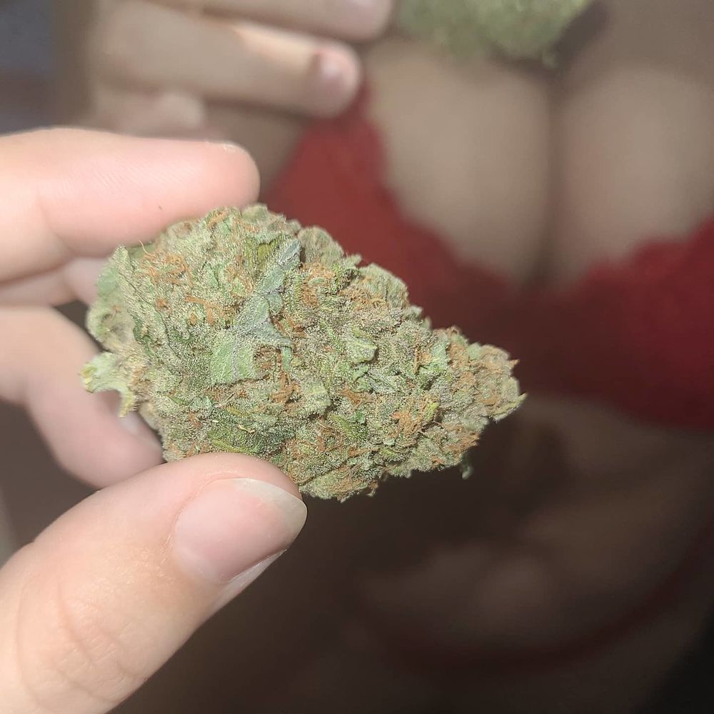 amberroziee OnlyFans profile picture