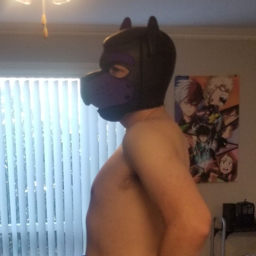 pupdartskytail OnlyFans profile picture