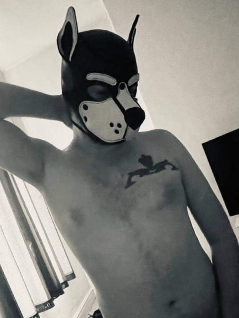 pupbeowulf OnlyFans profile picture