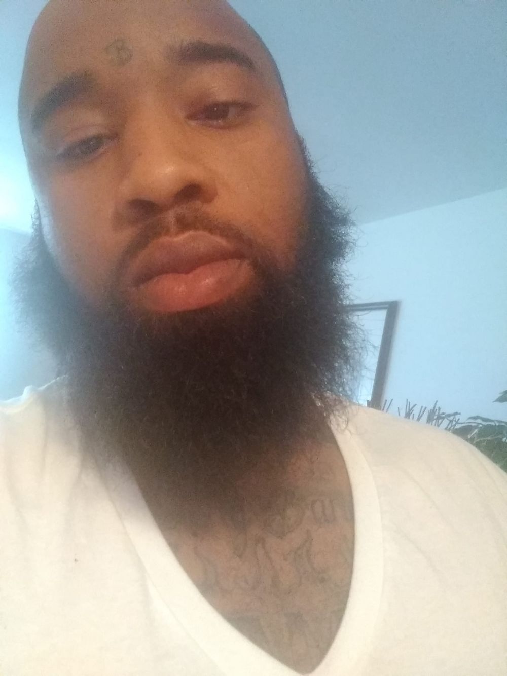 kavalli95 OnlyFans profile picture