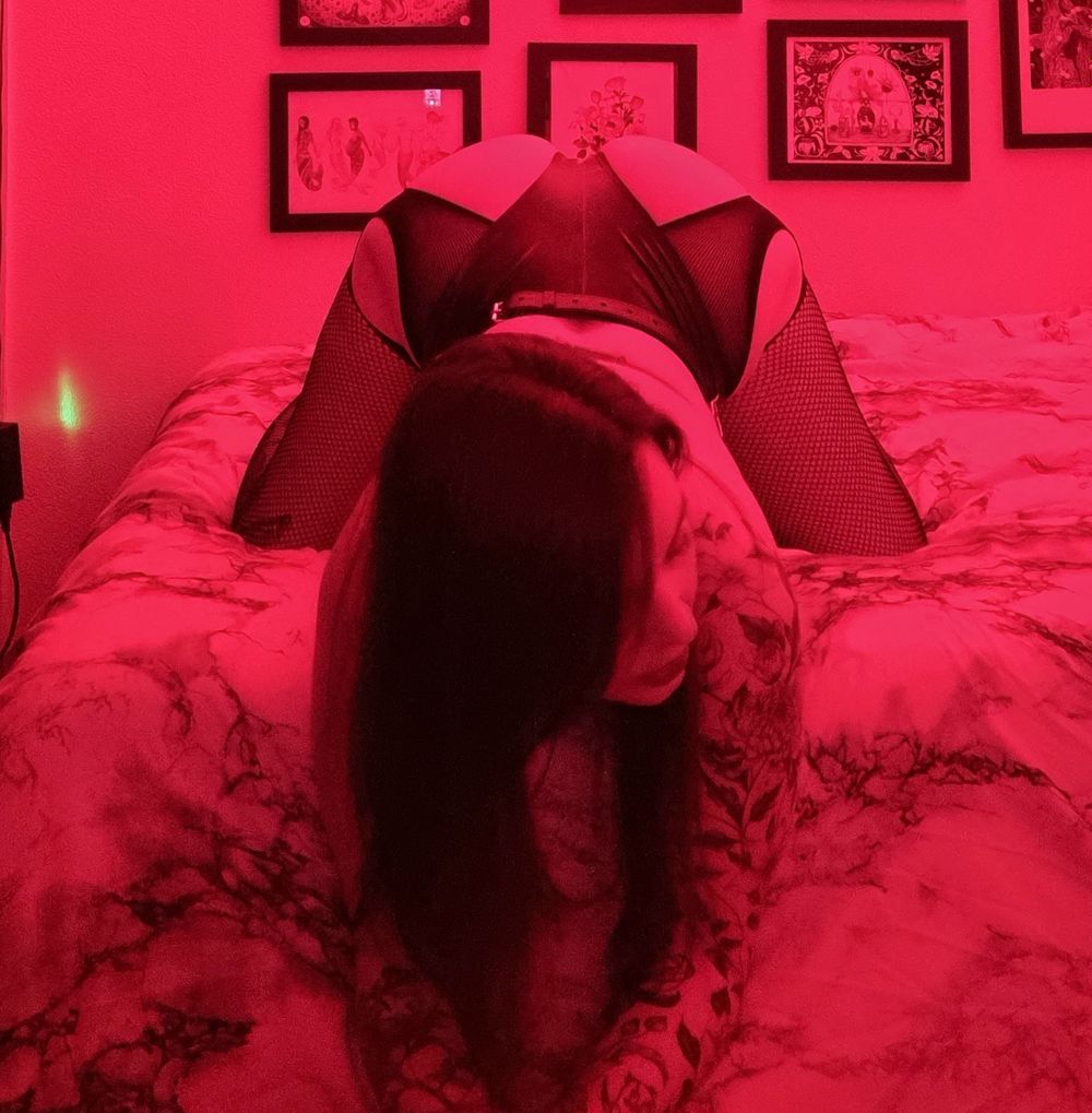 goddessmistyday OnlyFans profile picture