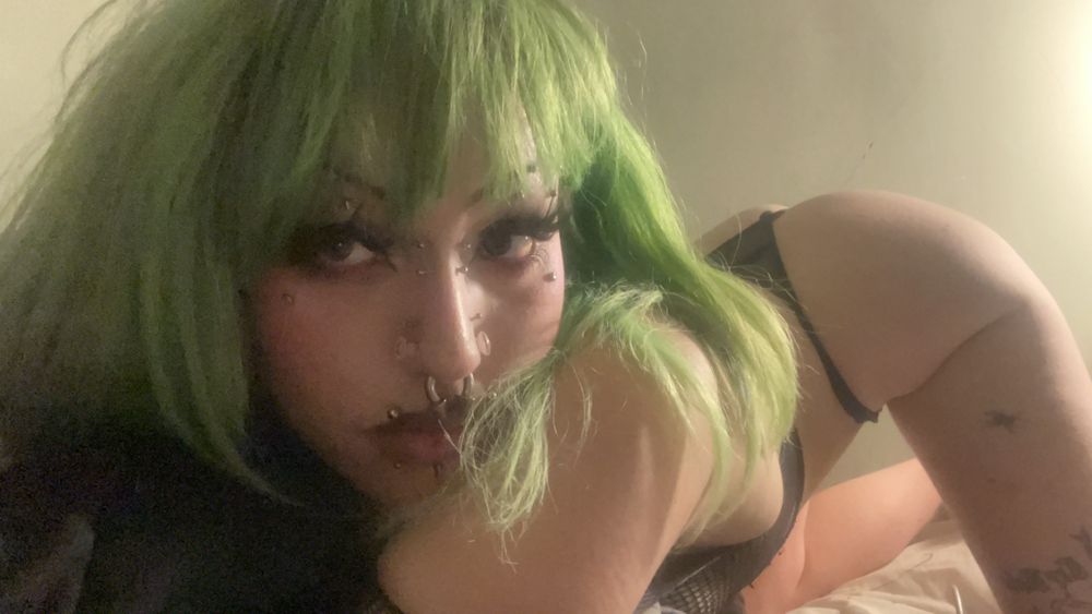vodkasheep OnlyFans profile picture