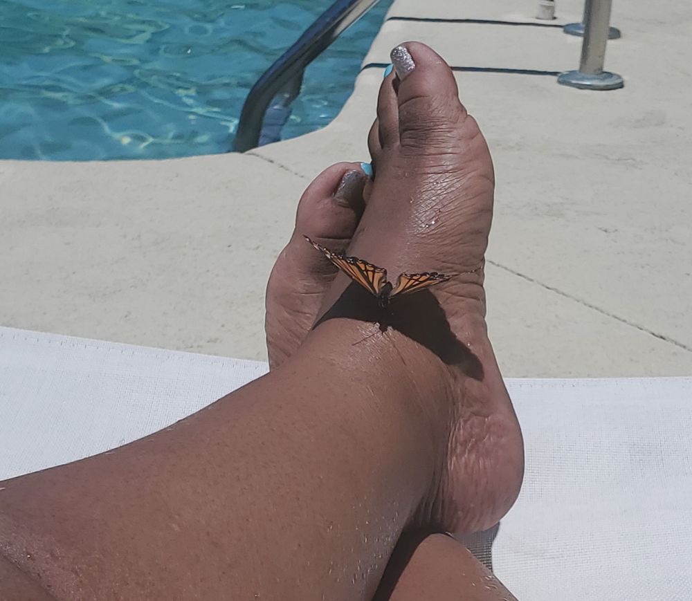 usexybuttafly OnlyFans profile picture