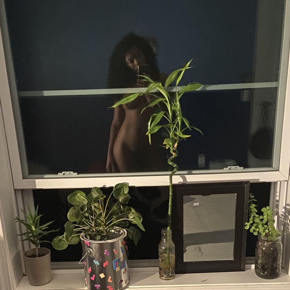 kiwistarship OnlyFans profile picture