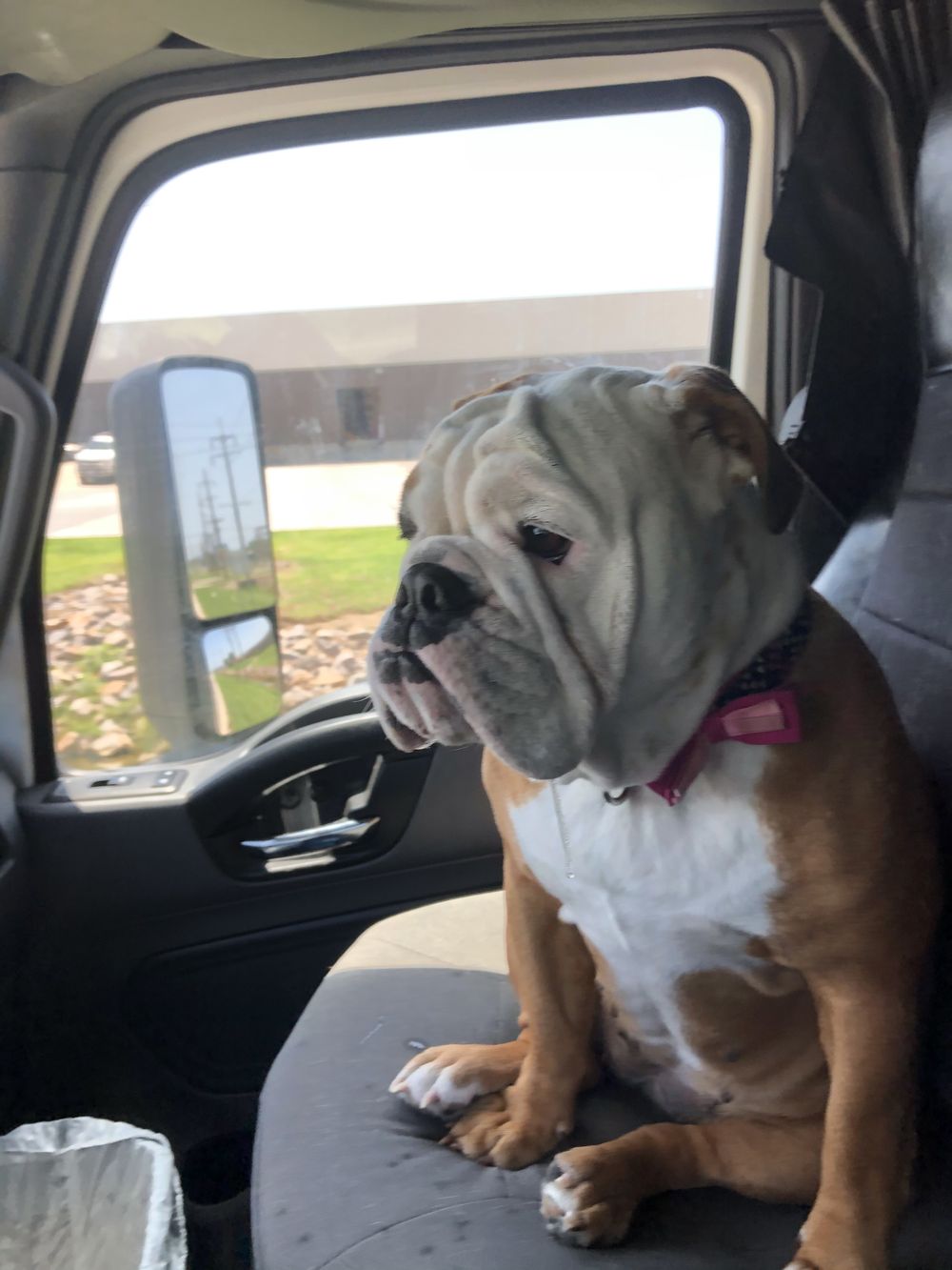luminouskdawg OnlyFans profile picture