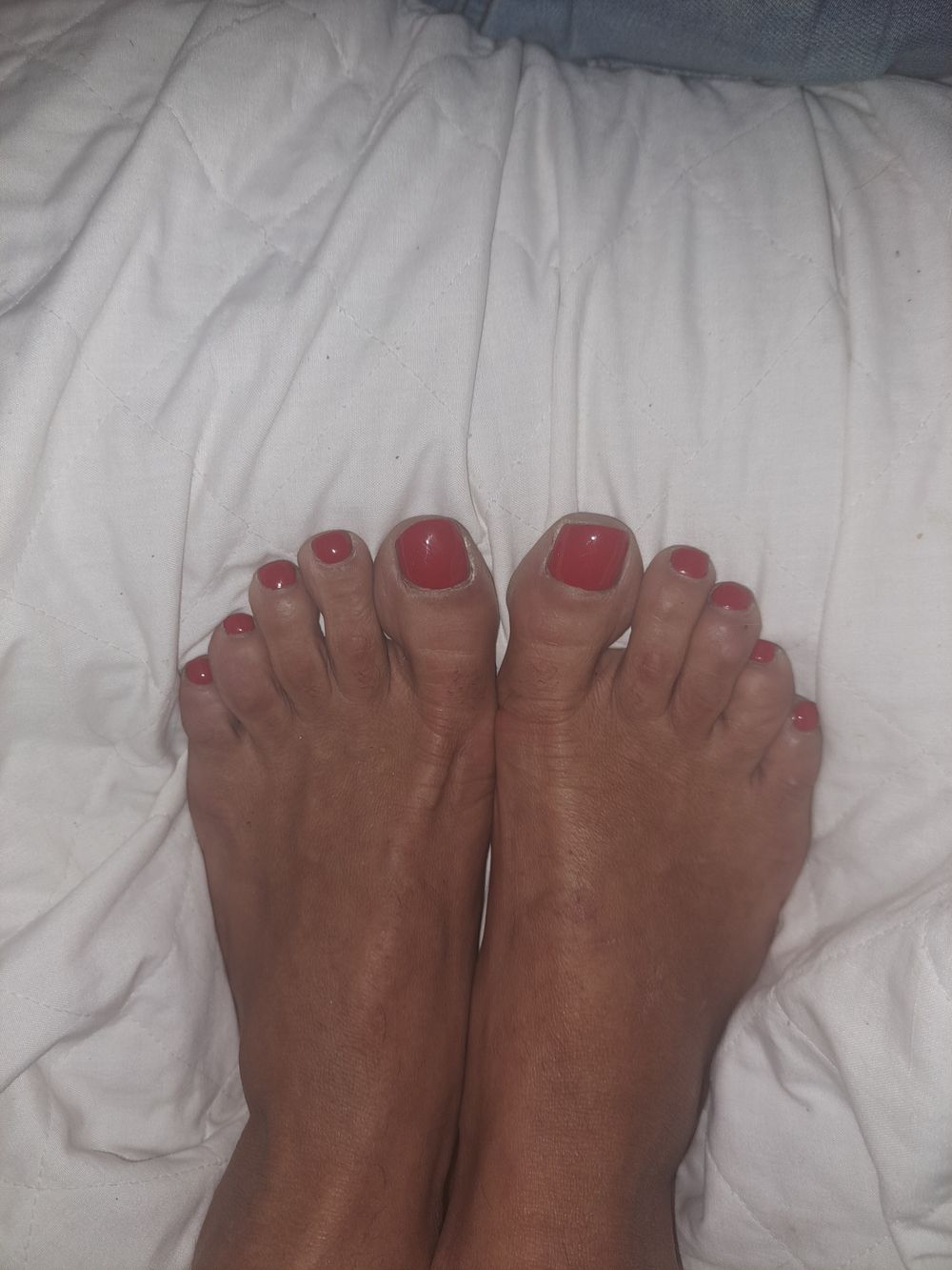 sujaila OnlyFans profile picture
