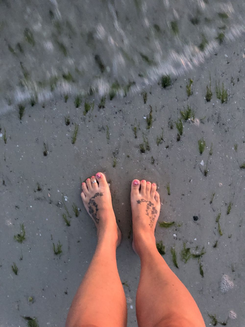 midwestmermaid OnlyFans profile picture